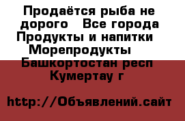 Продаётся рыба не дорого - Все города Продукты и напитки » Морепродукты   . Башкортостан респ.,Кумертау г.